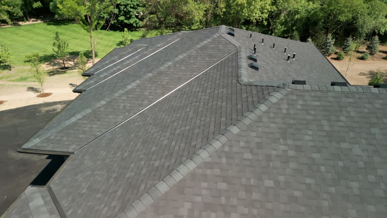 Best Roof Insulation Installation  in Springfield, GA