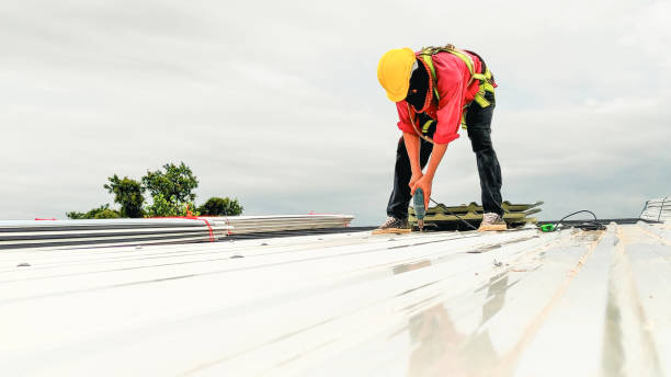 Best Asphalt Shingles Roofing  in Springfield, GA