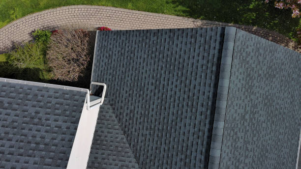 Best Roof Ventilation Installation  in Springfield, GA