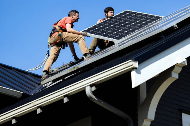 Best Roof Moss and Algae Removal  in Springfield, GA